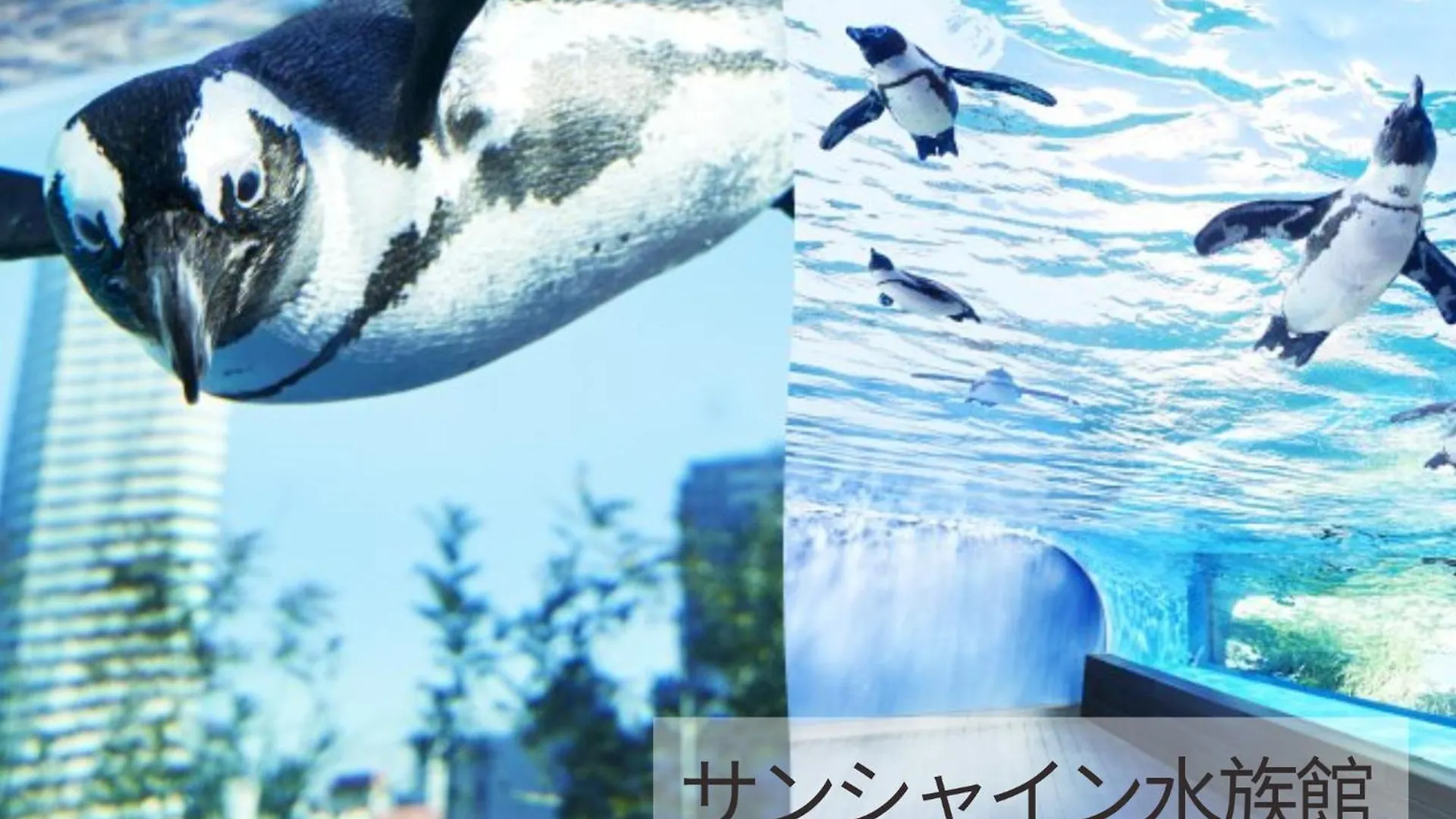 Restay Frontier  Präfektur Tokio